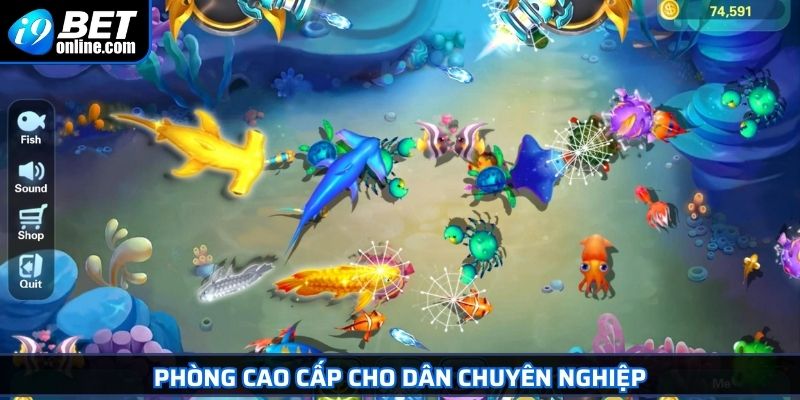 Bắn Cá H5 - Trò Chơi Đổi Thưởng Không Thể Bỏ Lỡ Tại I9BET 3 Phòng Cao Cấp cho dân chuyên nghiệp