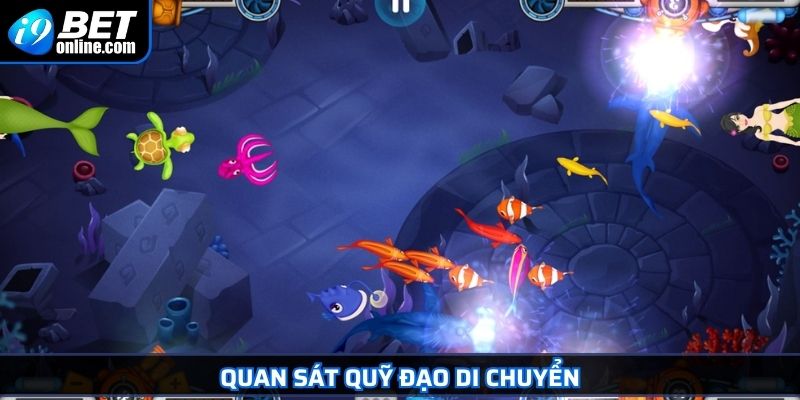 Bắn Cá Xèng I9BET - Trò Chơi Hấp Dẫn Cùng Chiến Thuật Tối Ưu 4 Quan sát quỹ đạo di chuyển