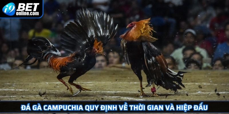 Đá Gà Campuchia Khám Phá Thế Giới Chọi Kê Đỉnh Cao 2025 3 Đá gà Campuchia quy định về thời gian và hiệp đấu