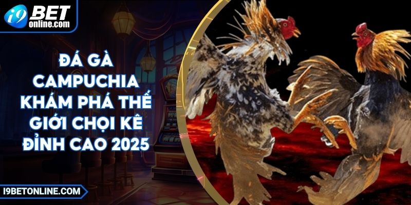 Đá Gà Campuchia Khám Phá Thế Giới Chọi Kê Đỉnh Cao 2025
