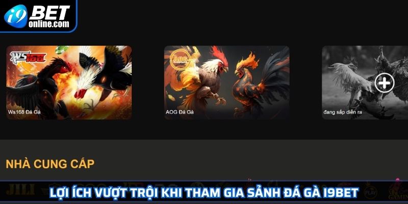 Lợi ích vượt trội khi tham gia sảnh đá gà I9BET