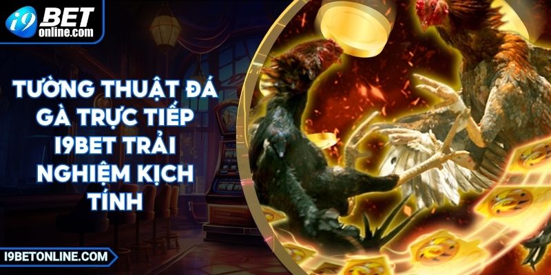 Tường Thuật Đá Gà Trực Tiếp I9BET Trải Nghiệm Kịch Tính